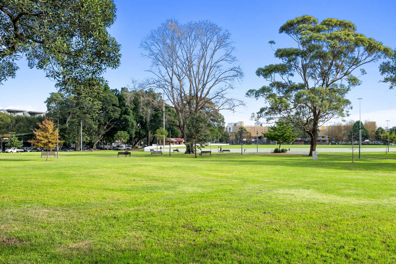 1/143 Botany Road Waterloo