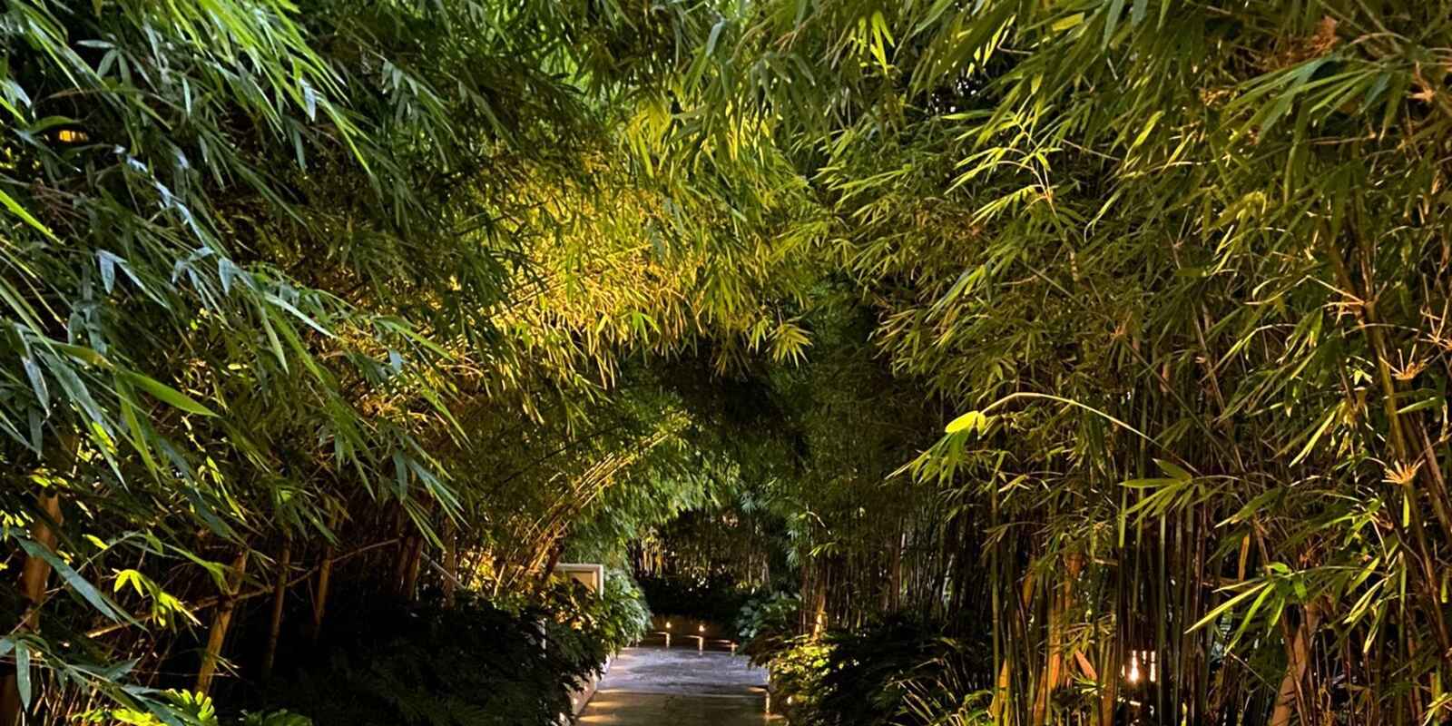 A806/18 O'Dea Avenue Waterloo