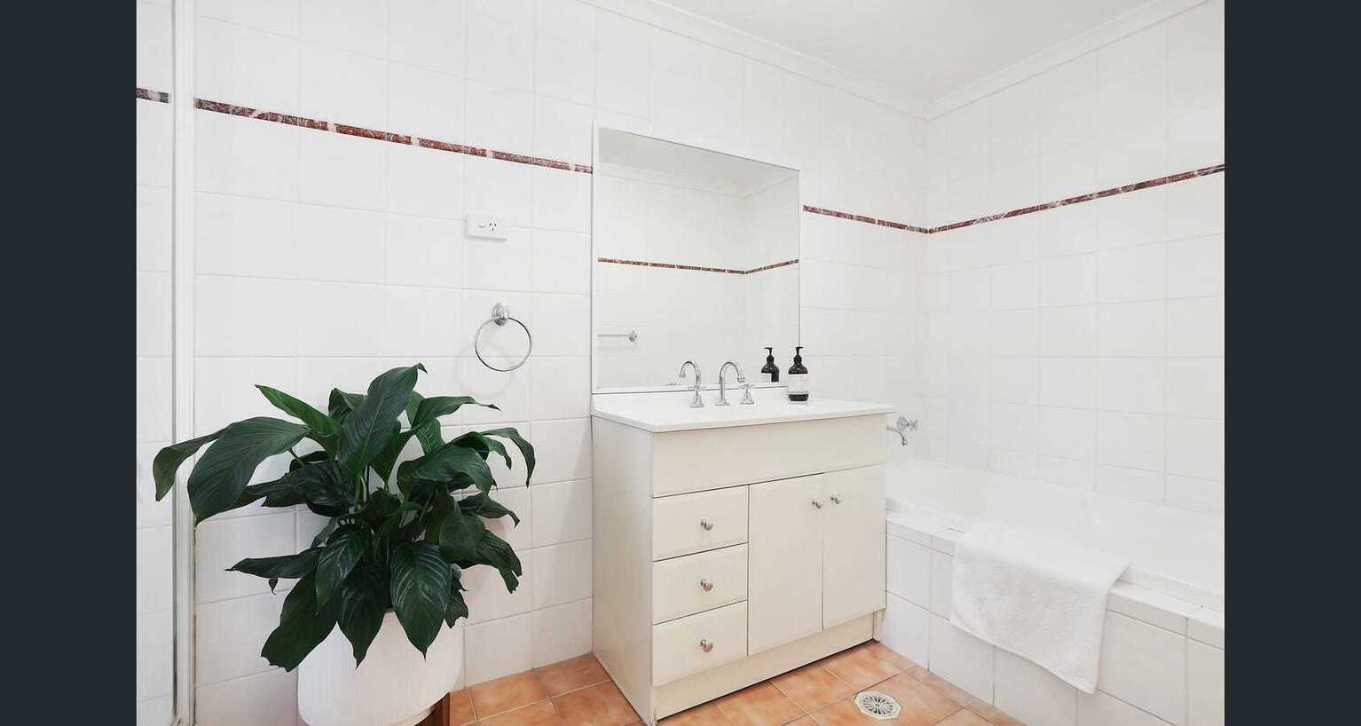 17/8 MacIntosh Street Mascot