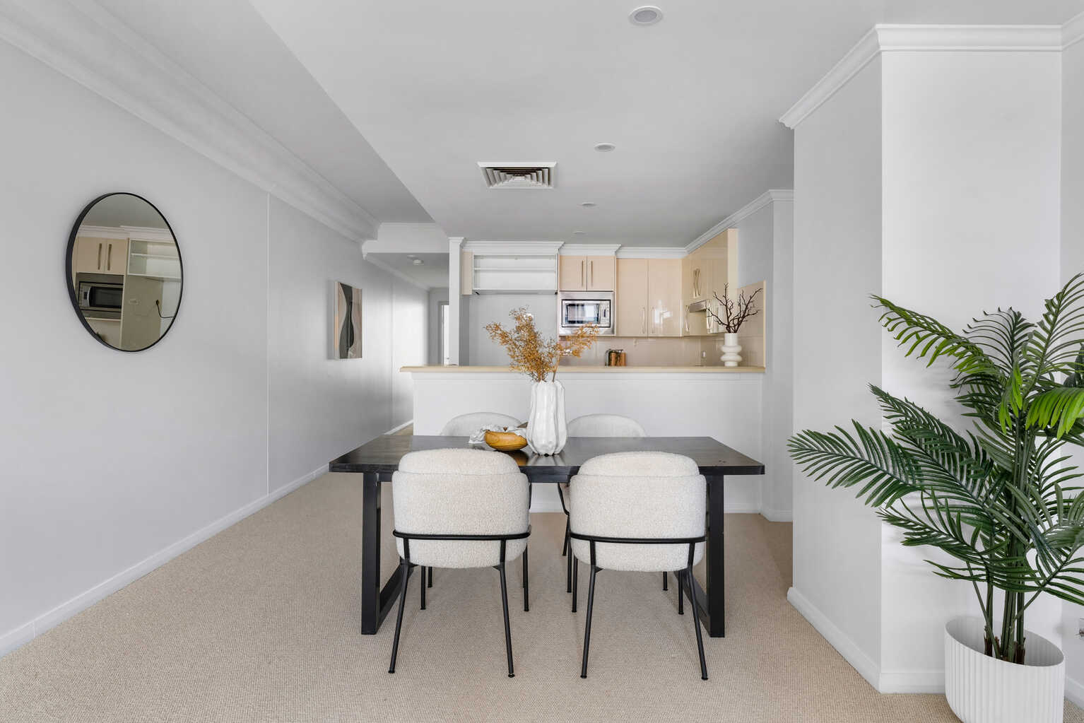 34/13 Potter Street Waterloo