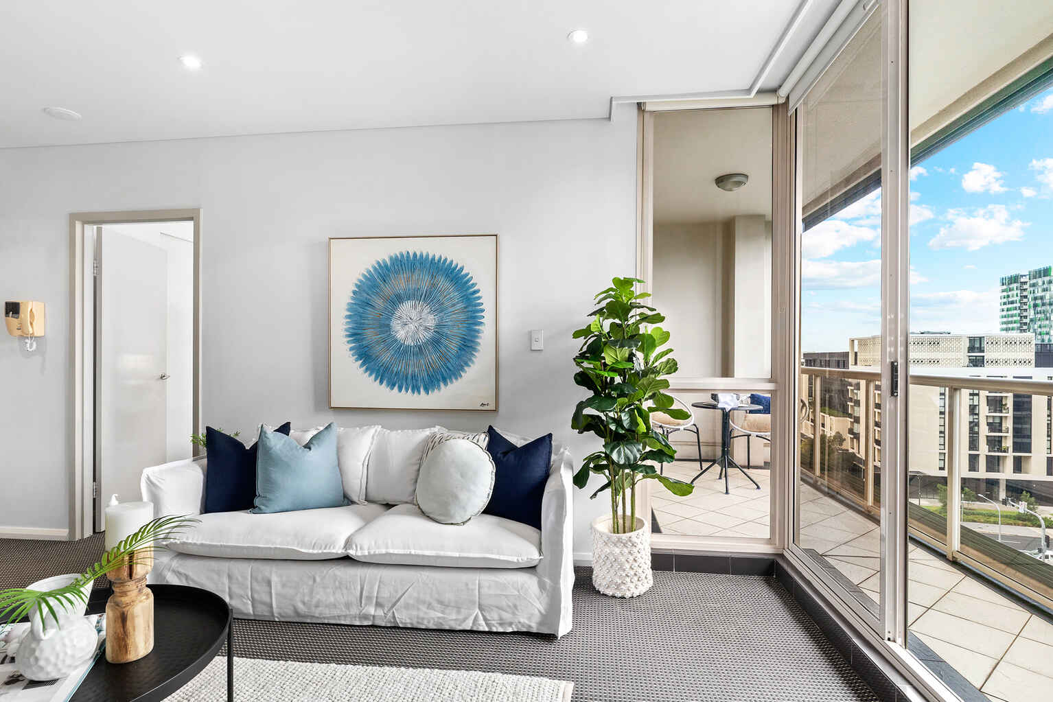 217/11 Potter Street Waterloo