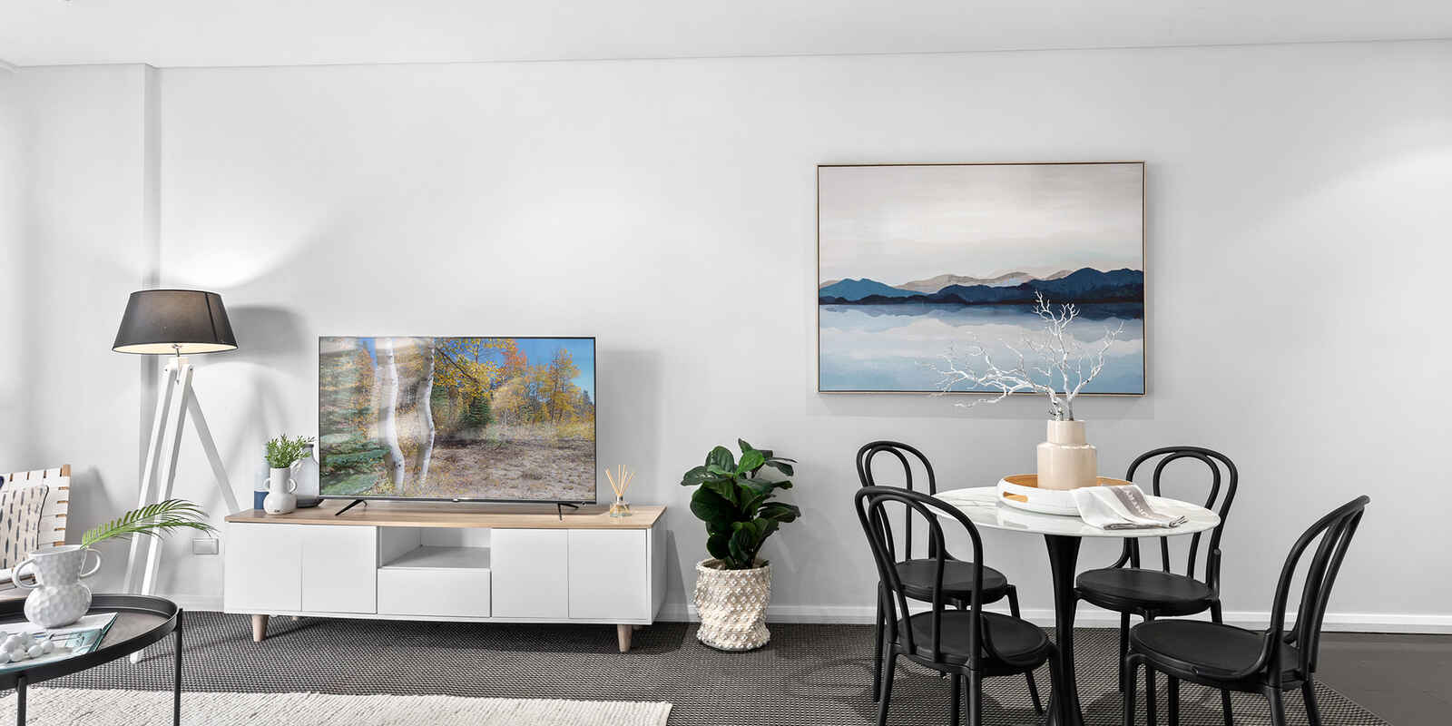 217/11 Potter Street Waterloo