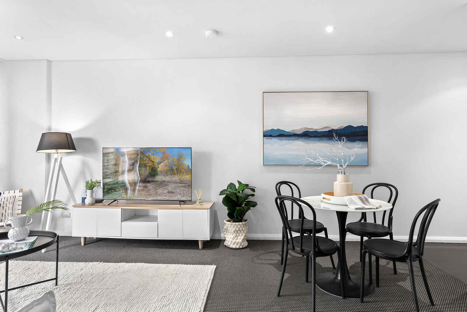 217/11 Potter Street Waterloo