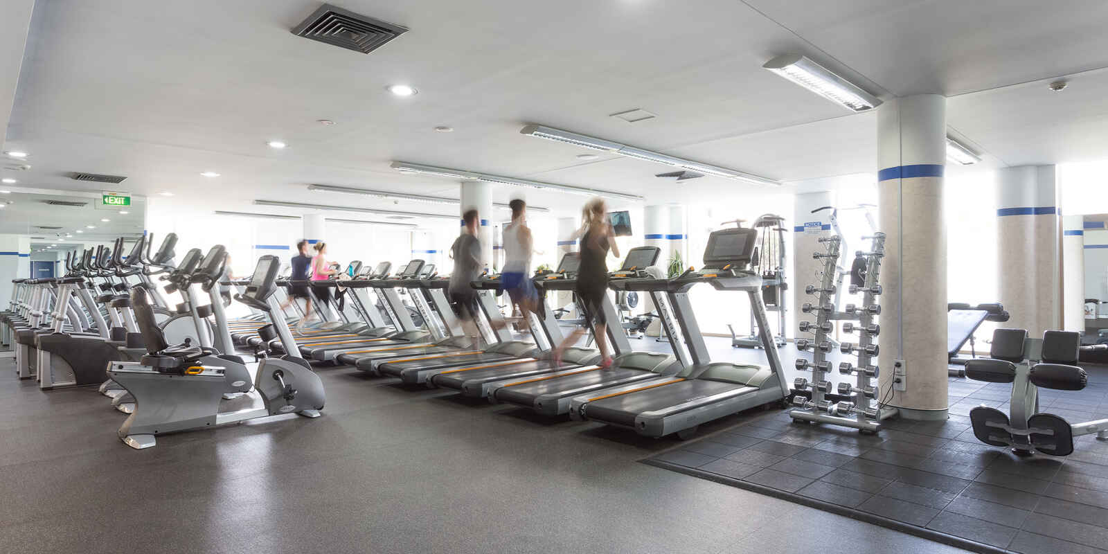 217/11 Potter Street Waterloo