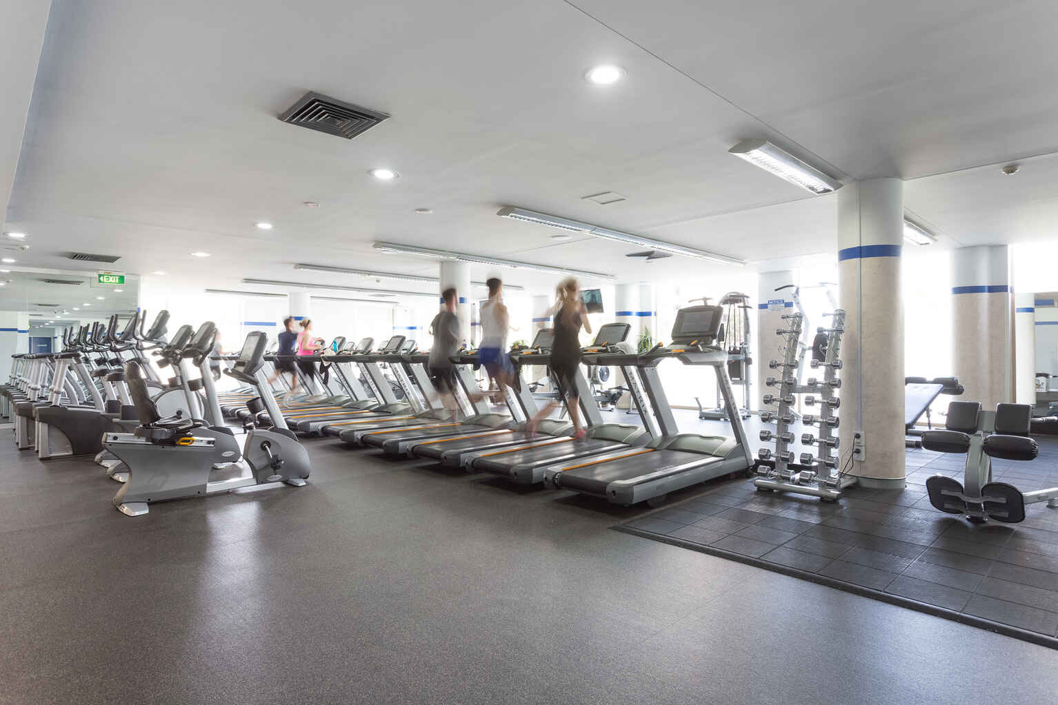 217/11 Potter Street Waterloo