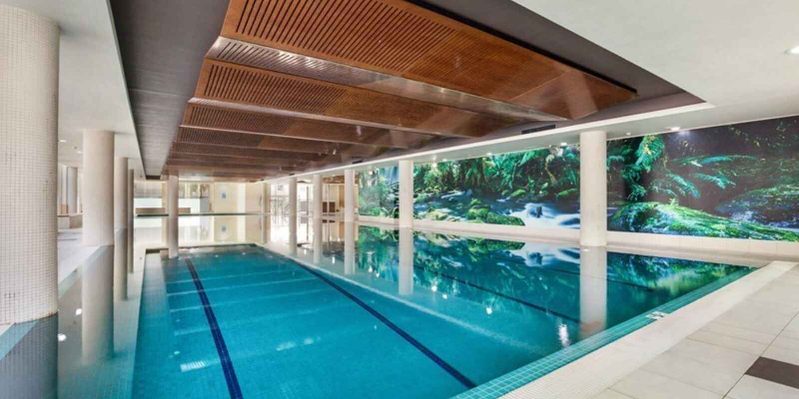 217/11 Potter Street Waterloo