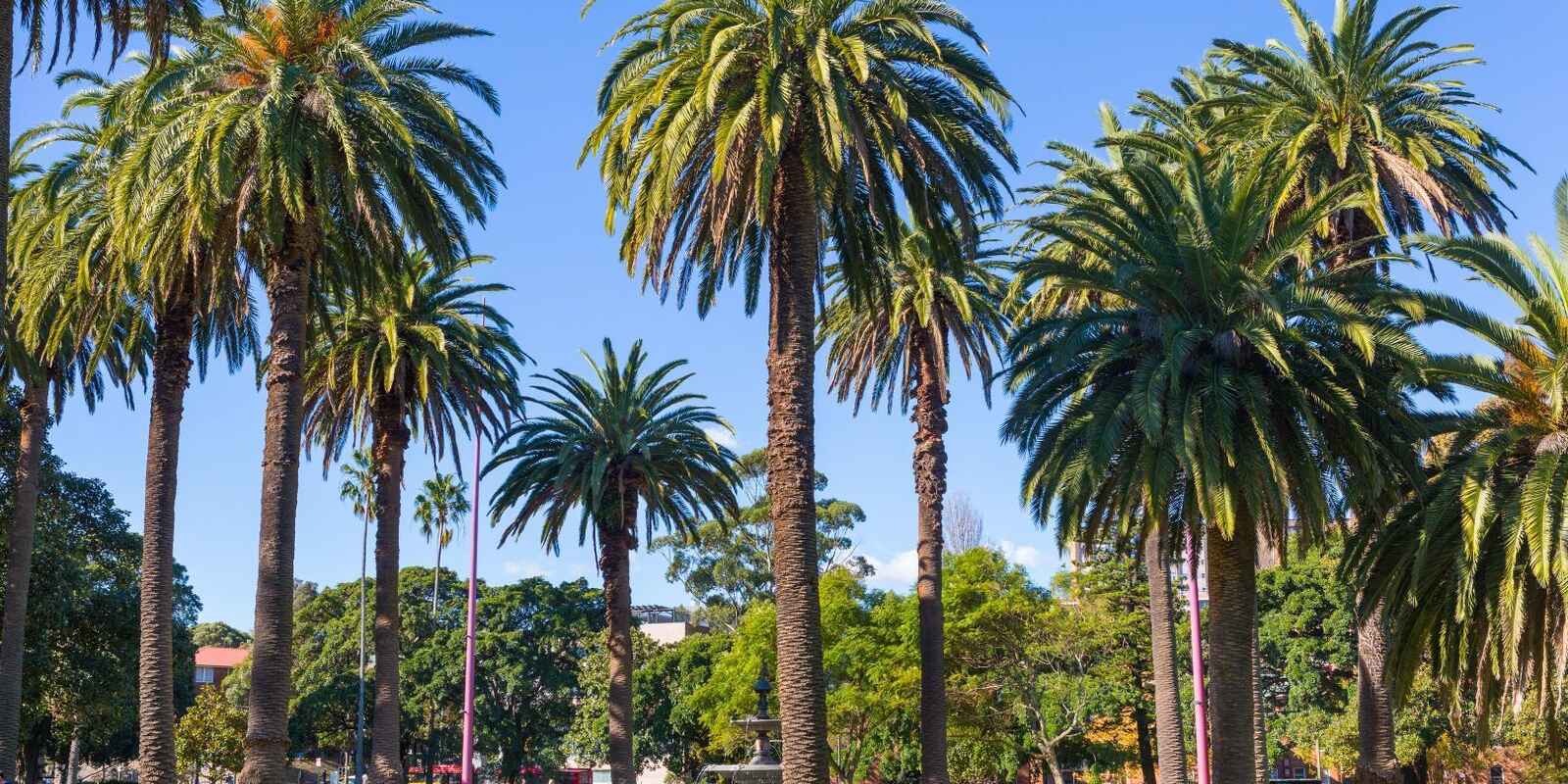 1203/157 Redfern Street Redfern