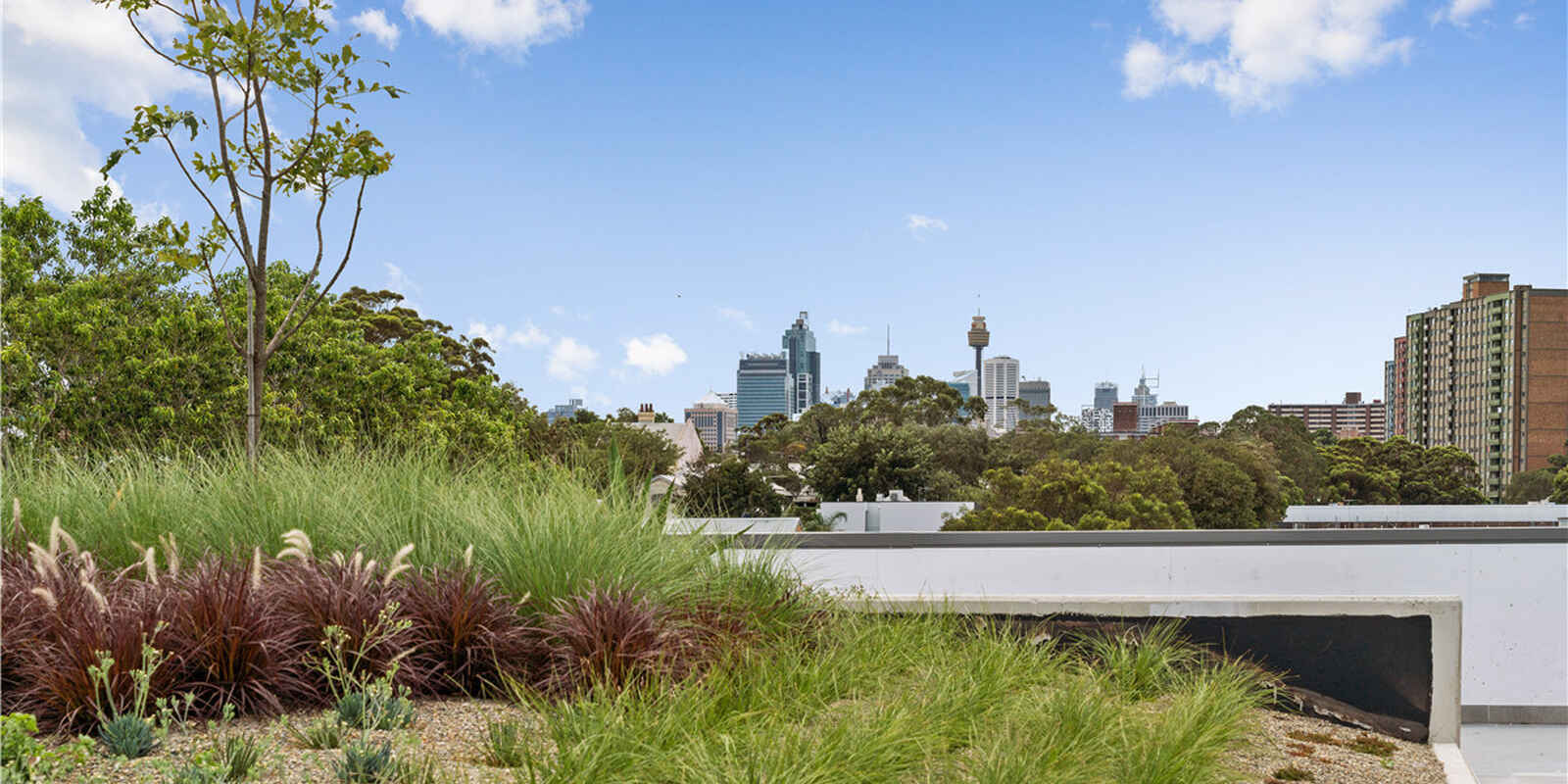 222/10-20 McEvoy Street Waterloo